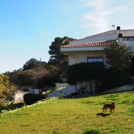 Asinara Villa Sassari Exteriör bild