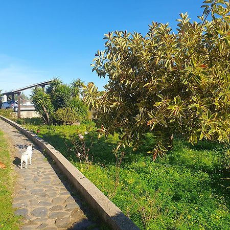 Asinara Villa Sassari Exteriör bild