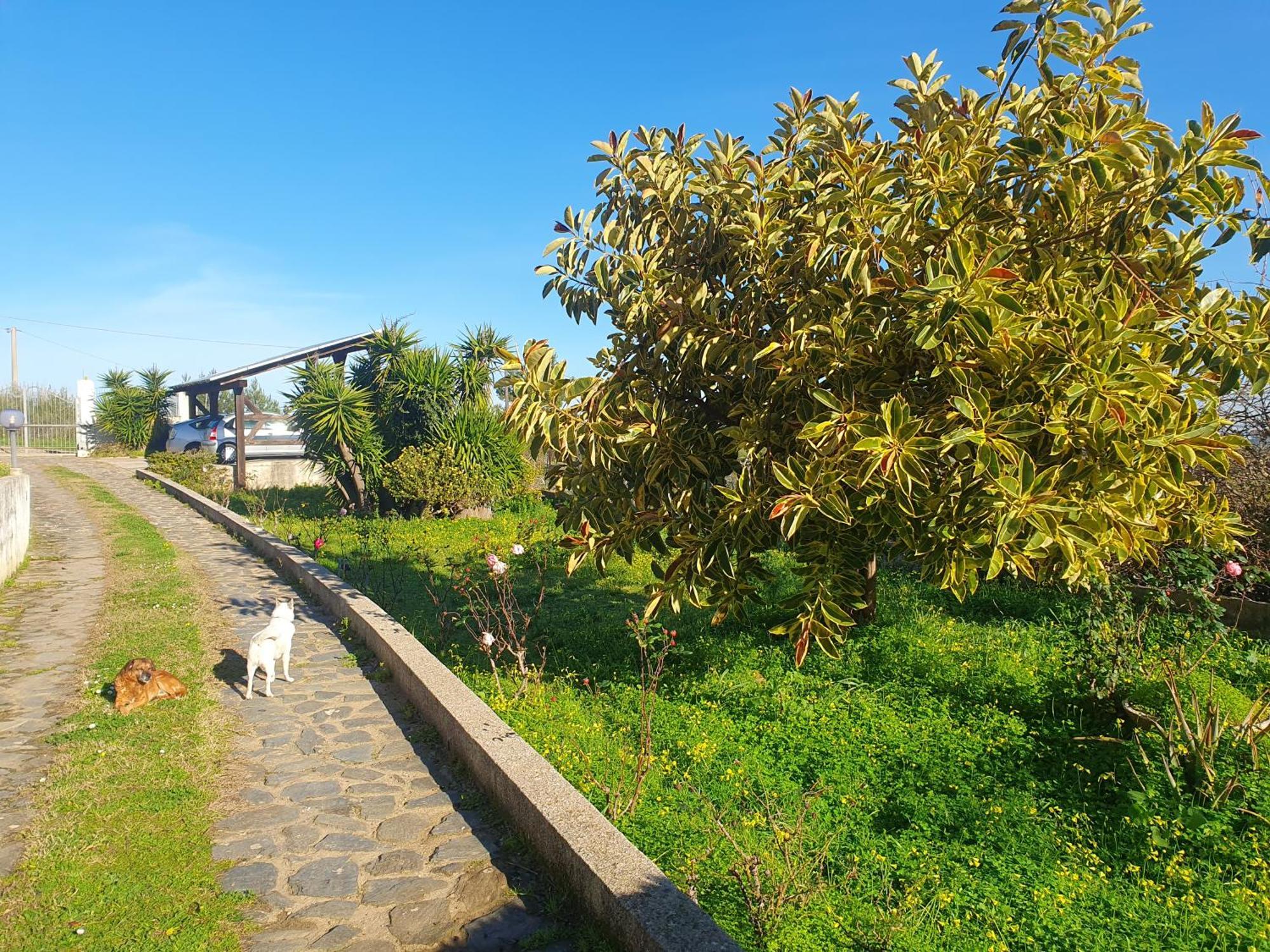 Asinara Villa Sassari Exteriör bild