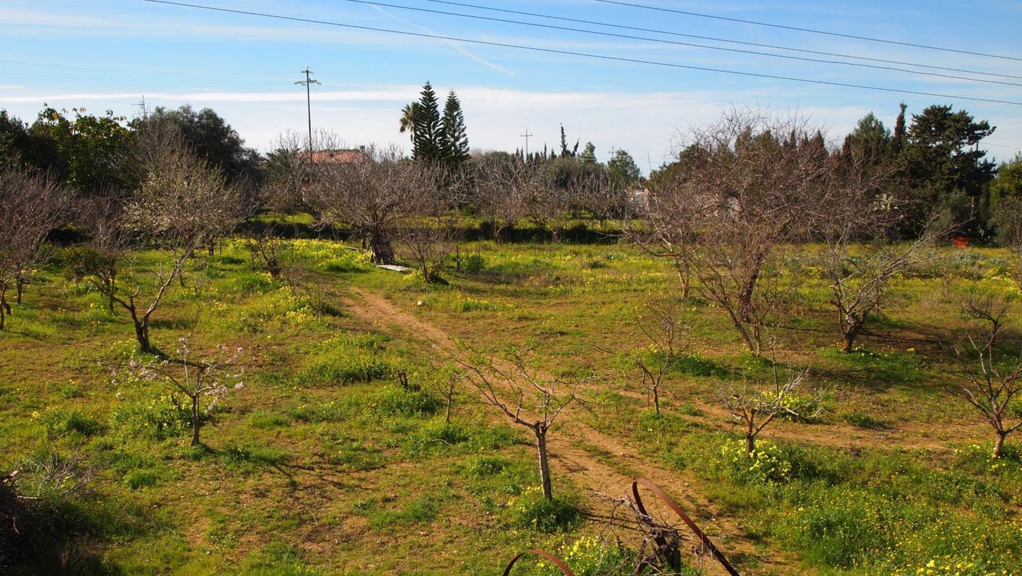 Asinara Villa Sassari Exteriör bild